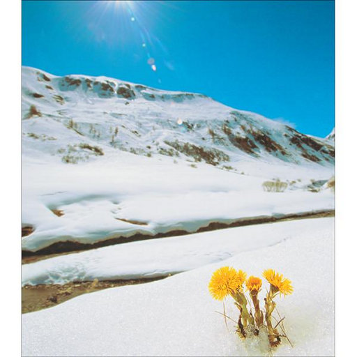 恒大美女做爱视频
